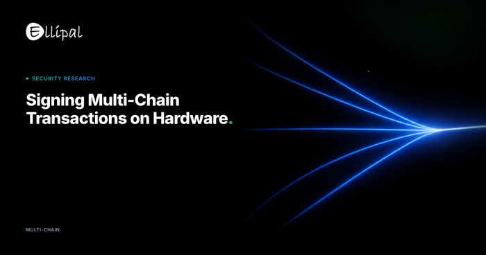 Cross-Chain Bridge Security: Using Hardware Wallets For Multi-Chain Transactions