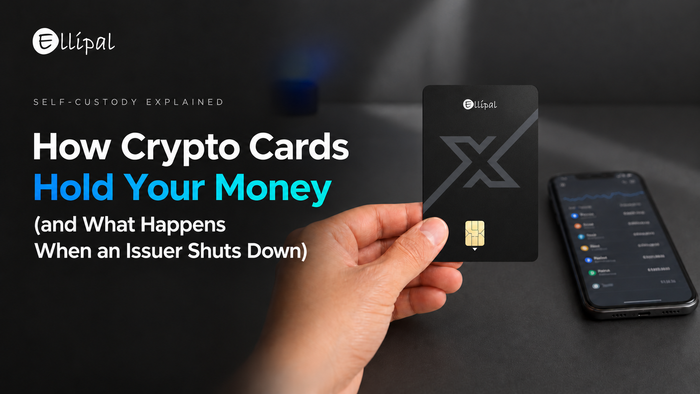 How Crypto Cards Hold Your Money (and What Happens When an Issuer Shuts Down)