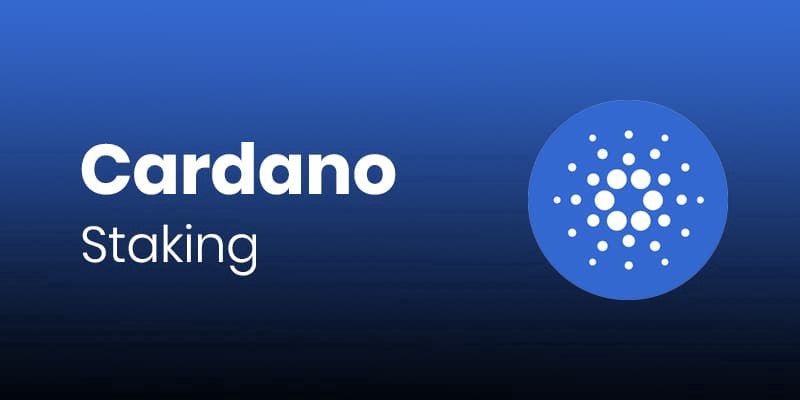 Cardano Staking: Everything You Need to Know - ELLIPAL