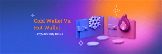 Cold Wallet Vs. Hot Wallet - Crypto Security Basics - ELLIPAL
