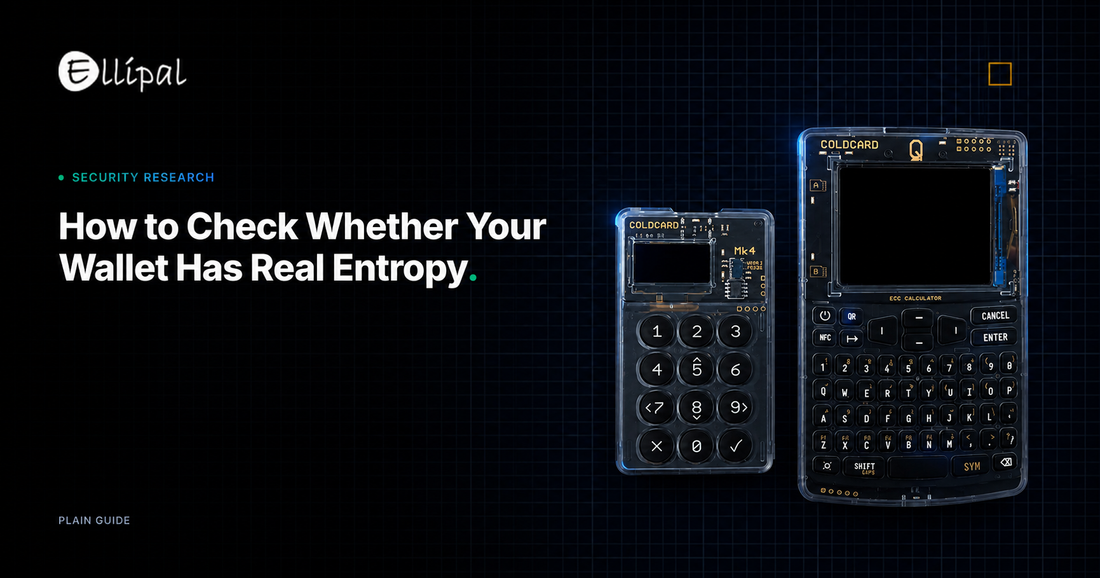 Seed Entropy: How to Check Whether Your Wallet Actually Has It