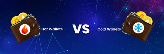 Crypto Hot Wallets and Cold Wallets – What's The Major Difference? - ELLIPAL