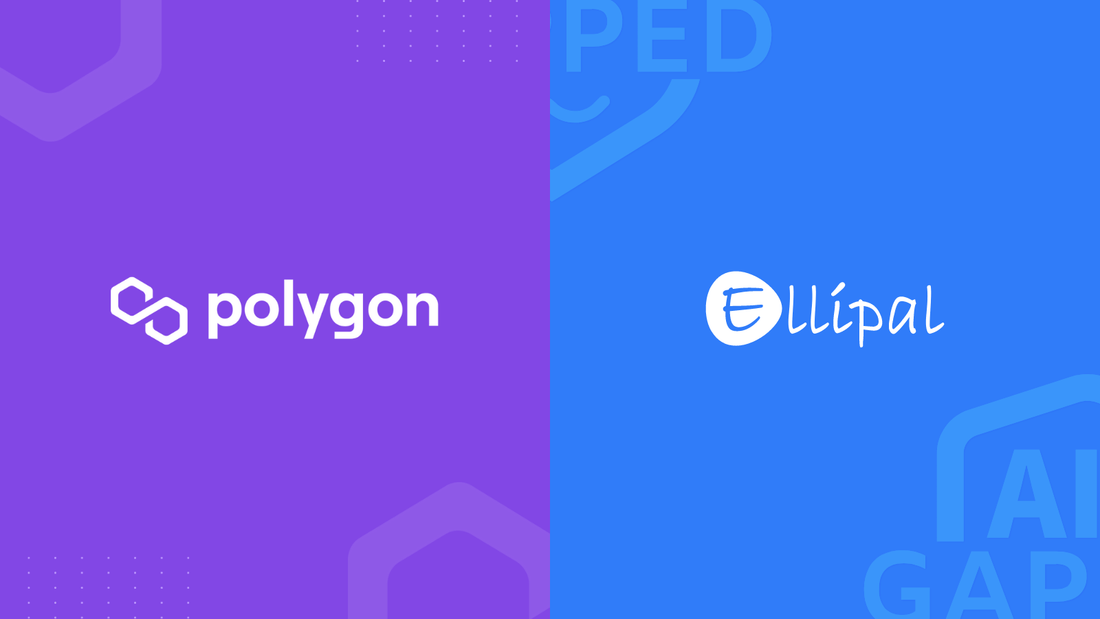 ELLIPAL Cold Wallet is Now Live on Polygon Network to Provide Air-Gapped Security to All $MATIC Holders - ELLIPAL