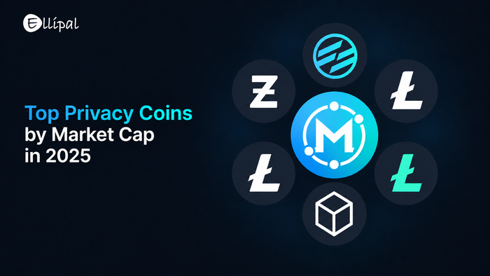 Top Privacy Coins by Market Cap in 2025