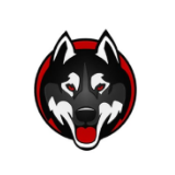 KAIKEN INU