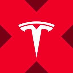 Tesla xStock