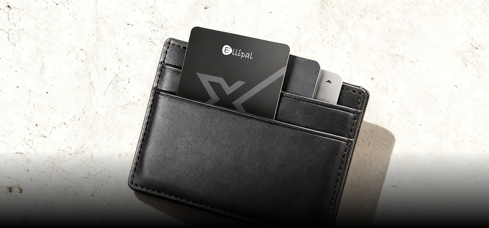 ELLIPAL X Card carried next to bank cards