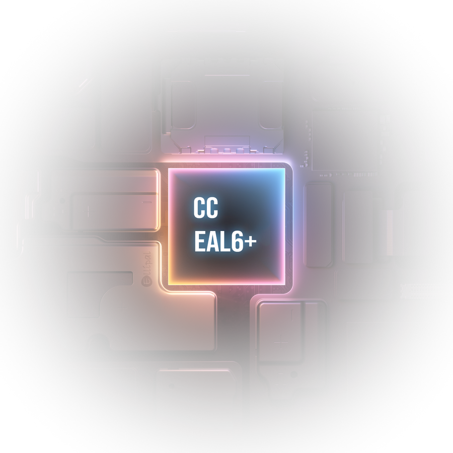 Cutaway illustration of the EAL6+ secure chip inside the ELLIPAL X Card, where private keys are generated and stored